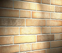 Клинкерная плитка Feldhaus Klinker R766NF14 vascu sabiosa rotado, 240*14*71 мм, ок.48 шт./кв. м., 24