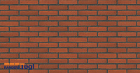 Плитка Randers Tegl RT 307 CLASSICA SF 250X20X62 мм, 55 шт./м2, 0,61 кг/шт