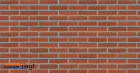 Плитка Randers Tegl RT 307 CLASSICA DNF 228X20X54 мм, 63 шт./м2, 0,46 кг/шт