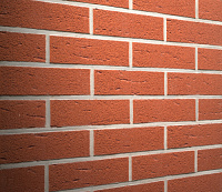 Клинкерная плитка Feldhaus Klinker R487NF9 terreno rustico, 240*9*71 мм, ок.48 шт./кв. м., 48 шт./уп