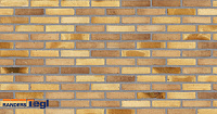 Плитка Randers Tegl RT 570 FUSION DNF  228X20X54 мм, 63 шт./м2, 0,46 кг/шт