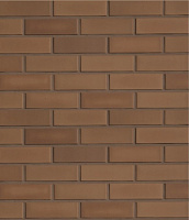 Roeben NF плитка Braun glatt, коричневый (braun), 240x9x71мм., 48 шт./м2, 24 шт./кор., 3240шт./подд.