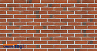 Плитка Randers Tegl RT 406 CLASSICA DNF 228X20X54 мм, 63 шт./м2, 0,46 кг/шт