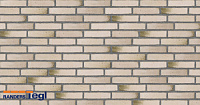 Плитка Randers Tegl RT 103 PRIMA DNF 228X35X54 мм, 63 шт./м2, 0,75 кг/шт