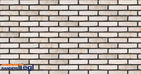 Плитка Randers Tegl RT 101 PRIMA DNF 228X35X54 мм, 63 шт./м2, 0,75 кг/шт